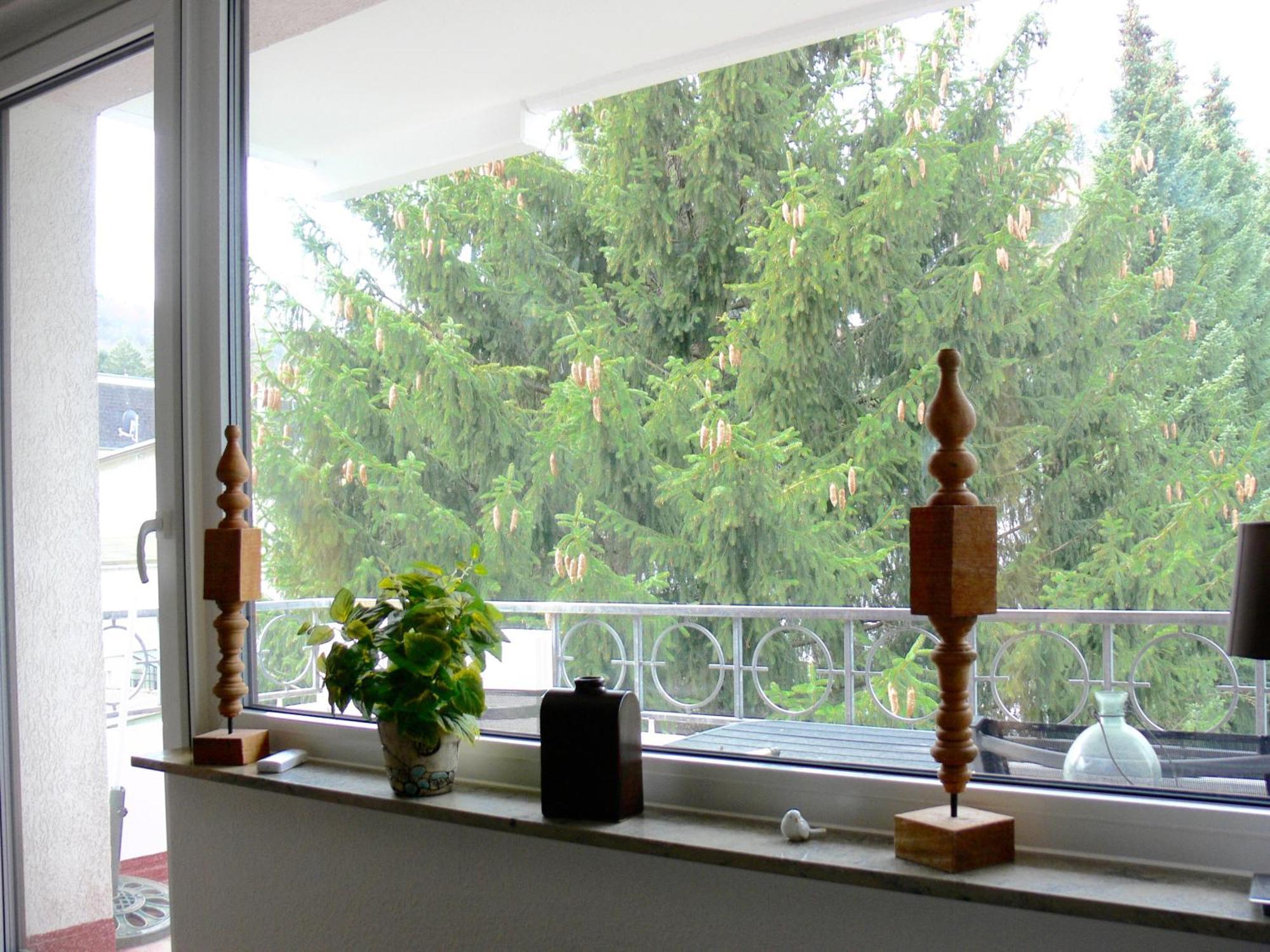 Ferienwohnung Hudewusch Bad Harzburg Kültér fotó